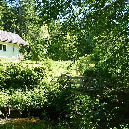 Apartment Schwarzwald Total Φρόιντενσταντ Εξωτερικό φωτογραφία