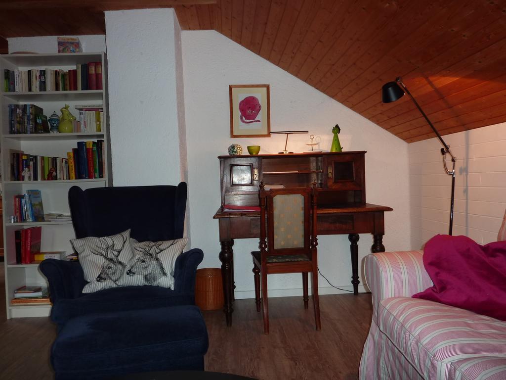 Apartment Schwarzwald Total Φρόιντενσταντ Εξωτερικό φωτογραφία