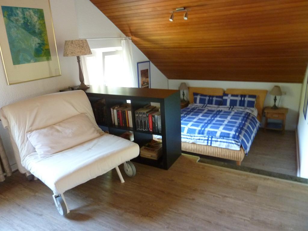 Apartment Schwarzwald Total Φρόιντενσταντ Εξωτερικό φωτογραφία