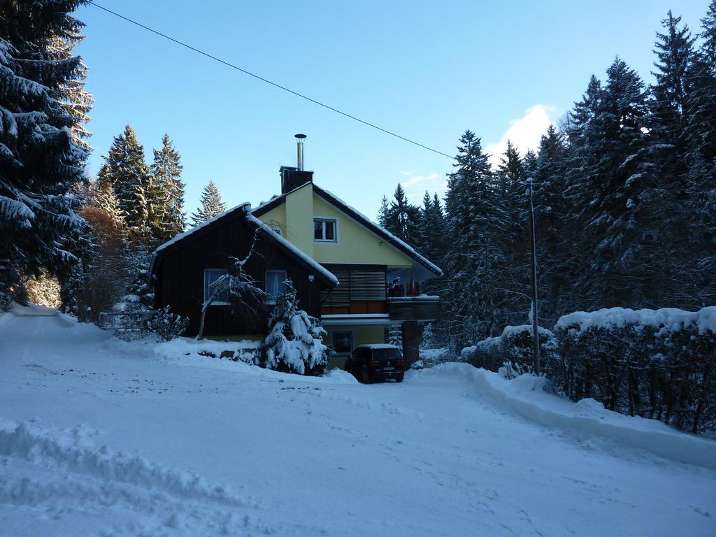 Apartment Schwarzwald Total Φρόιντενσταντ Εξωτερικό φωτογραφία