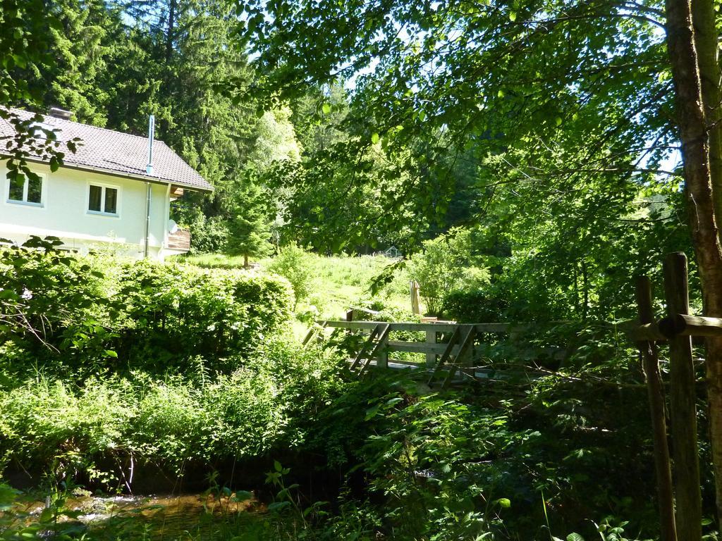 Apartment Schwarzwald Total Φρόιντενσταντ Εξωτερικό φωτογραφία