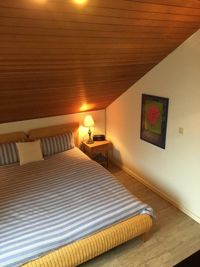 Apartment Schwarzwald Total Φρόιντενσταντ Εξωτερικό φωτογραφία